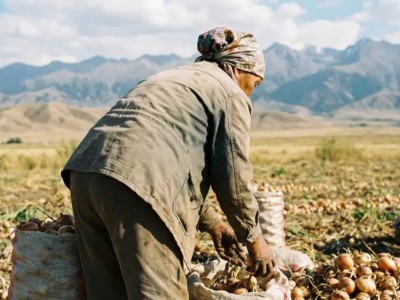 Казахстанка вернулась домой через месяц после своих похорон