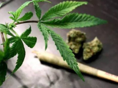 Военнослужащий Погранслужбы КНБ хранил марихуану в сапоге