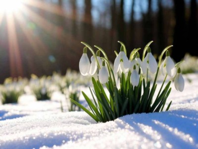Прогноз погоды на 3 марта: снег и потепление