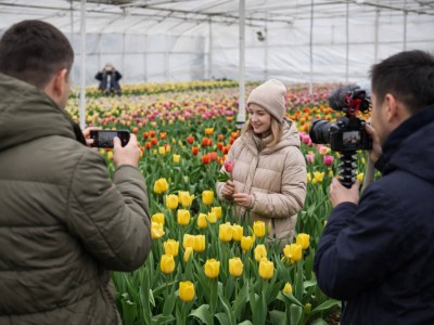 В соцсетях обсуждают «теплицы блогеров» и китайские тюльпаны к 8 марта