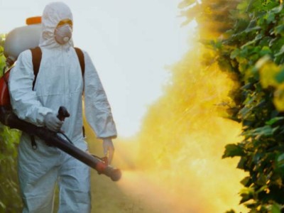 Миллиарды на борьбу с гнусом: Бозумбаев пообещал проверить расходы в Павлодарской области