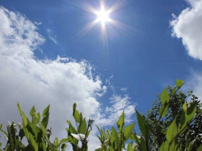 Весеннее тепло до +29°: синоптики дали прогноз по Казахстану на 30 марта