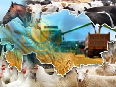 Казахстан вошел в топ-6 мира по сельхозугодьям