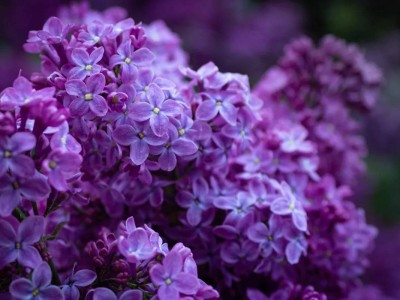 Казахстанцам грозит штраф до 216 тысяч за срыв сирени