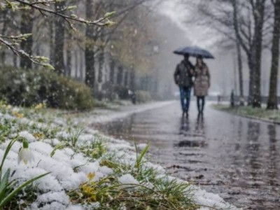 Грозы, ветер и ночные морозы: прогноз погоды на 14 апреля