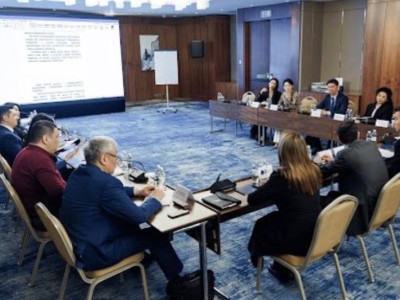 Новую политическую партию создают в Казахстане