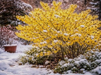 Погода в Казахстане 18 апреля: мороз, туман и шквальный ветер