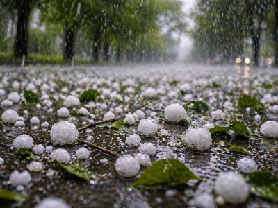 Казахстан накроет непогода: объявлено штормовое предупреждение