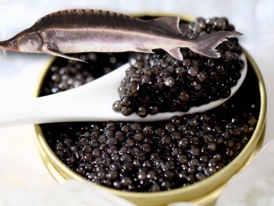 За покупку осетровой рыбы и икры грозит уголовная ответственность