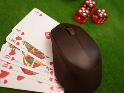 Потери до 30 млн тенге и оборот 500 млн: масштабное интернет-казино накрыли в Казахстане