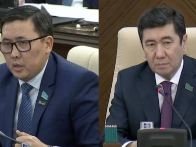 Депутату Мажилиса сделали замечание за неуместную фразу