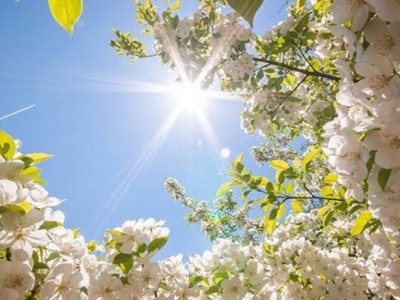 Прогноз погоды на 30 апреля: жара до +34 ожидается на юге Казахстана