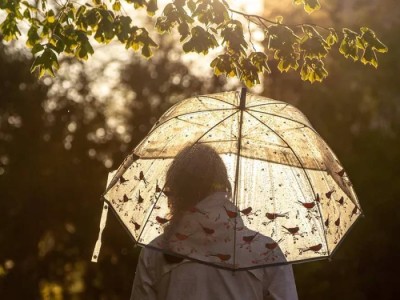 В Казахстане запустят "искусственный дождь"