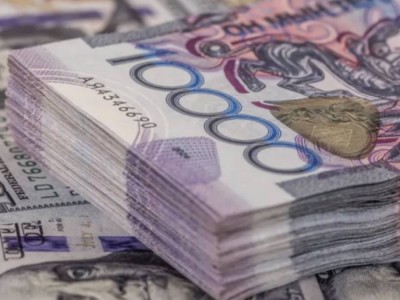 Просят 3,9 миллиона тенге - самых “дорогих“ специалистов назвали в Минтруда