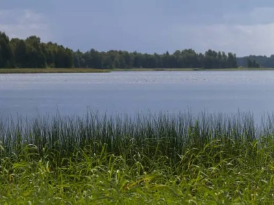 В Павлодарской области из воды достали тела женщины и россиянина