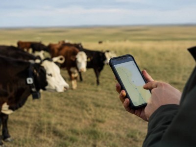 Миллионные убытки: фермеры судятся с поставщиком GPS-услуг
