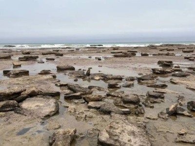 Процесс обмеления Каспийского моря назвали необратимым