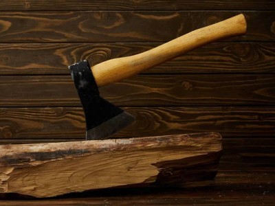 20-летняя девушка зарубила топором свою бабушку