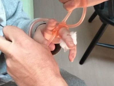 16-летнюю девушку укусила змея на озере Кольсай
