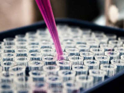 ДНК-тест случайно раскрыл семейную тайну: правда перевернула жизнь женщины