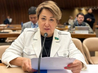 Конституция Казахстана создает основу для инклюзивного общества — Ляззат Калтаева