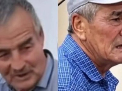Дело о 100 пропавших лошадях: стороны представили разные версии произошедшего