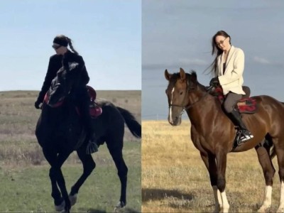 Девушка умерла после падения с лошади в конном клубе под Астаной