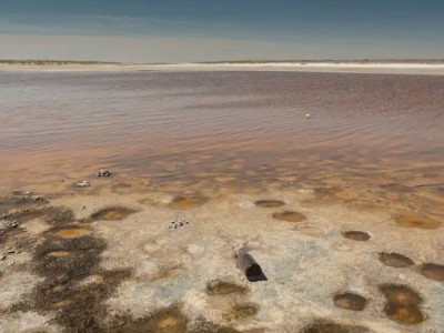 Море возвращается: Северный Арал накопил рекордный объем воды