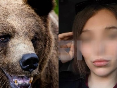 Медведь растерзал 29-летнюю туристку на Алтае