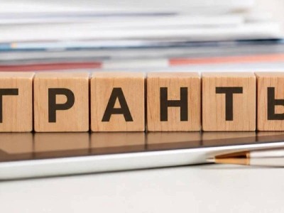 Что делать, если не удалось получить государственный грант: альтернативные варианты