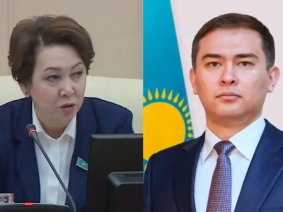 Депутат Курултая Дания Еспаева сделала замечание вице-министру