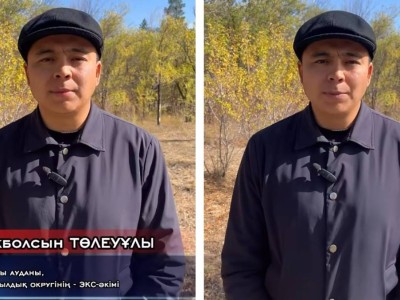 «Я прошу только справедливости»: экс-аким обратился к Токаеву