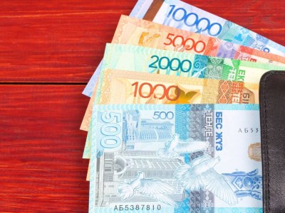 В Казахстане изменятся правила назначения государственных пособий с 2027 года