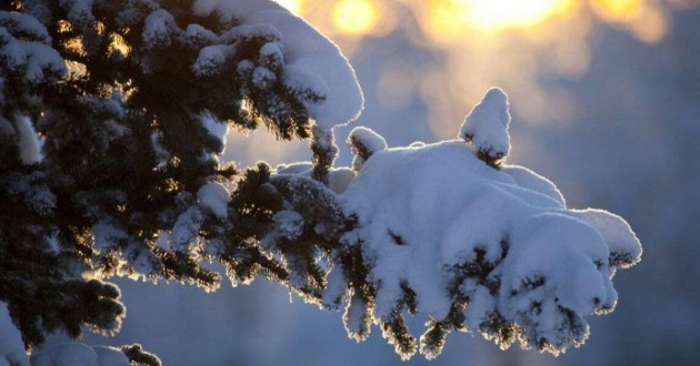 Прогноз погоды на 4 февраля в Казахстане: морозы, осадки на западе и востоке