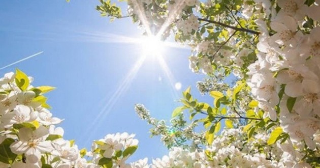 Прогноз погоды на 30 апреля: жара до +34 ожидается на юге Казахстана