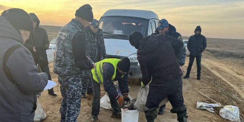 Экологическая трагедия: более 440 кг рыбы погибло на канале в Атырауской области.