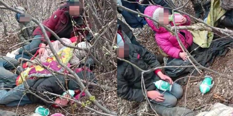 История с найденной в лесу семьей из Павлодара получает новый поворот.