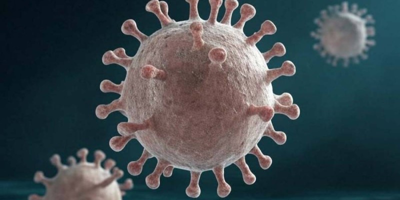 Свиный грипп A(H1N1): этиология, история, клиника, профилактика и прогнозы.