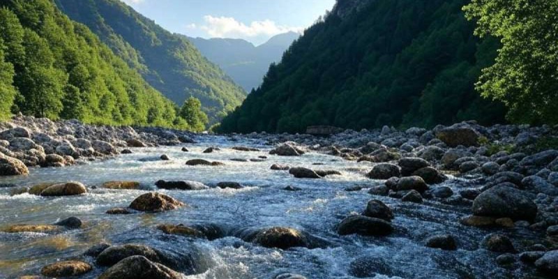 Река затопила медцентр и дома в Алматинской области.