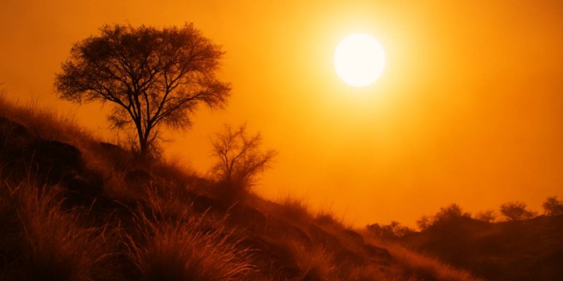 Погода в Казахстане: в Алматы жара до +39 °C, в Астане дожди и похолодание.