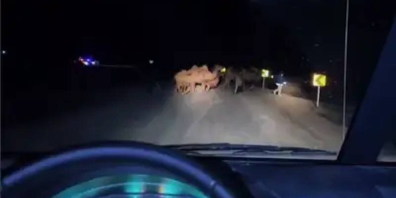 Масштабная эвакуация скота в Атырау из-за угрозы подтопления.