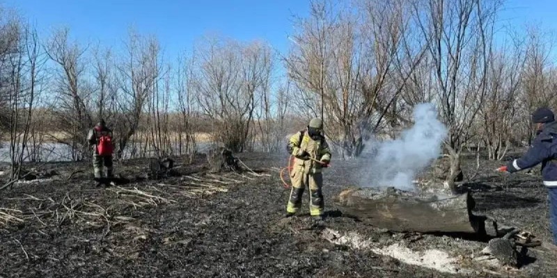 Пятый день борются с огнем в камышах на берегу Каспия.