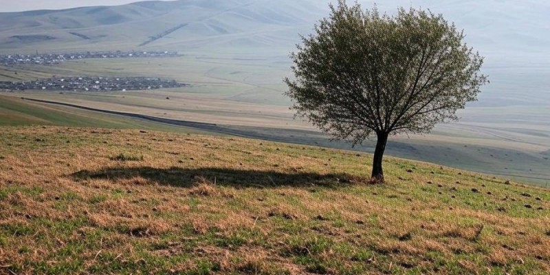 Землетрясение в 277 километрах от Алматы.