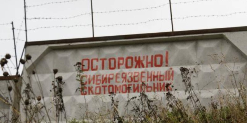 Опасное соседство: Сибирская язва у домашнего порога.