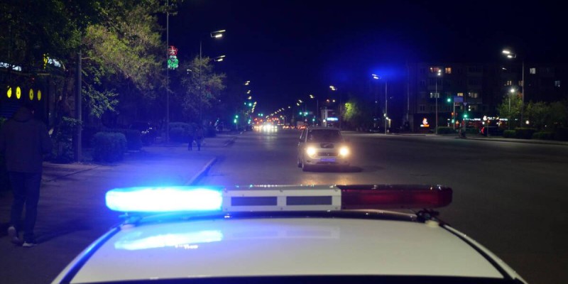 Водитель с поддельными номерами вез 36 человек в автобусе.