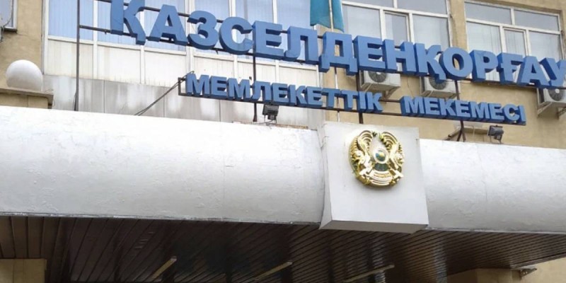 Осужден глава «Казселезащита» по ВКО.