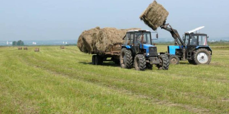 В ходе уборочной кампании в ЗКО собрано почти 300 тысяч тонн зерна.
