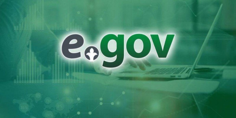 Казахстанцы жалуются на “пропажу” детей с портала eGov.kz .
