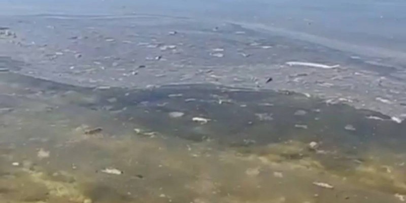 Масляные пятна на Каспии: жители Актау боятся купаться
