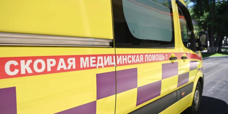 Алматинку убила рухнувшая с дерева ветка